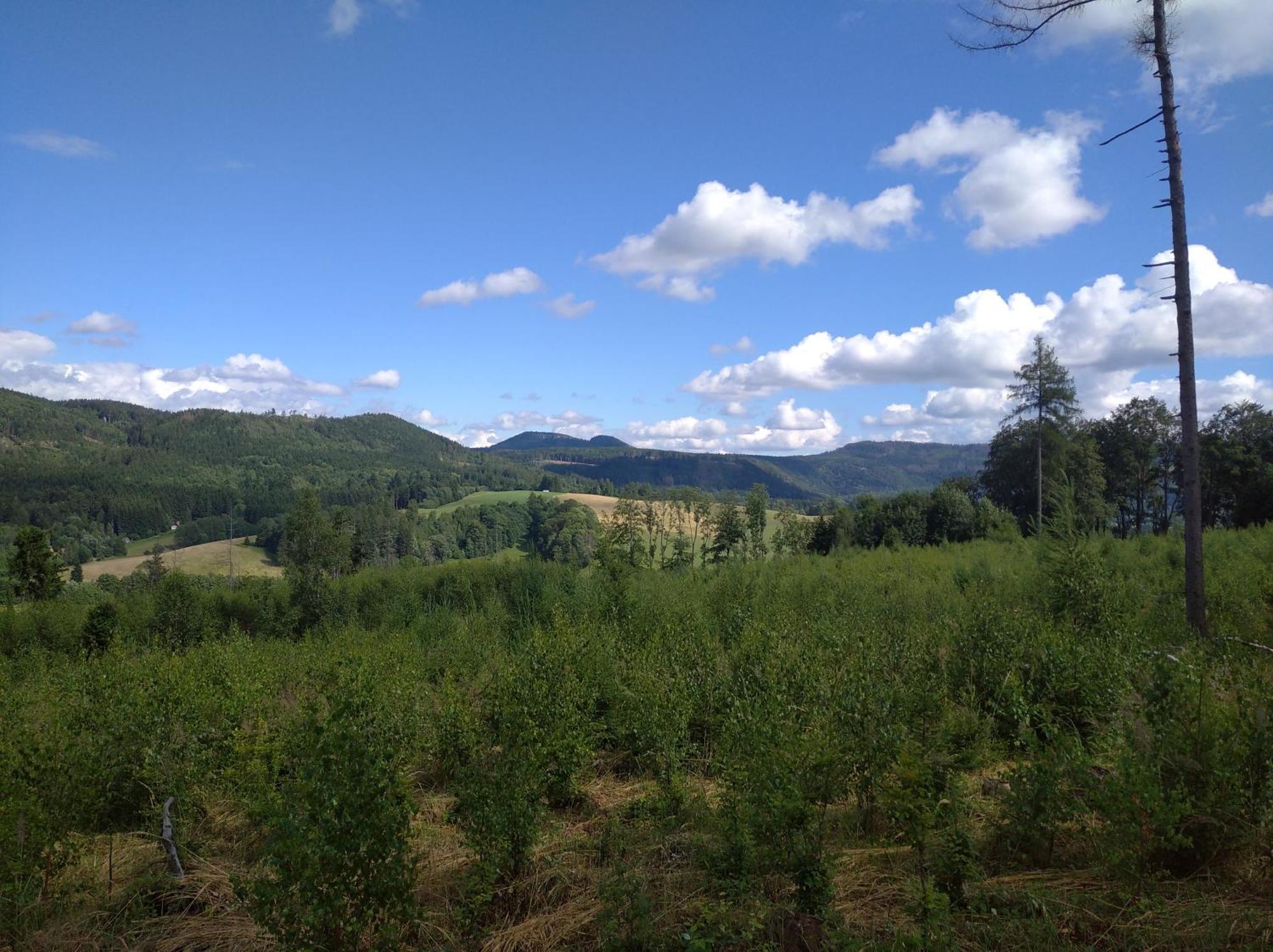 Statek Bily Dvur - Bely Hotel Machov Luaran gambar